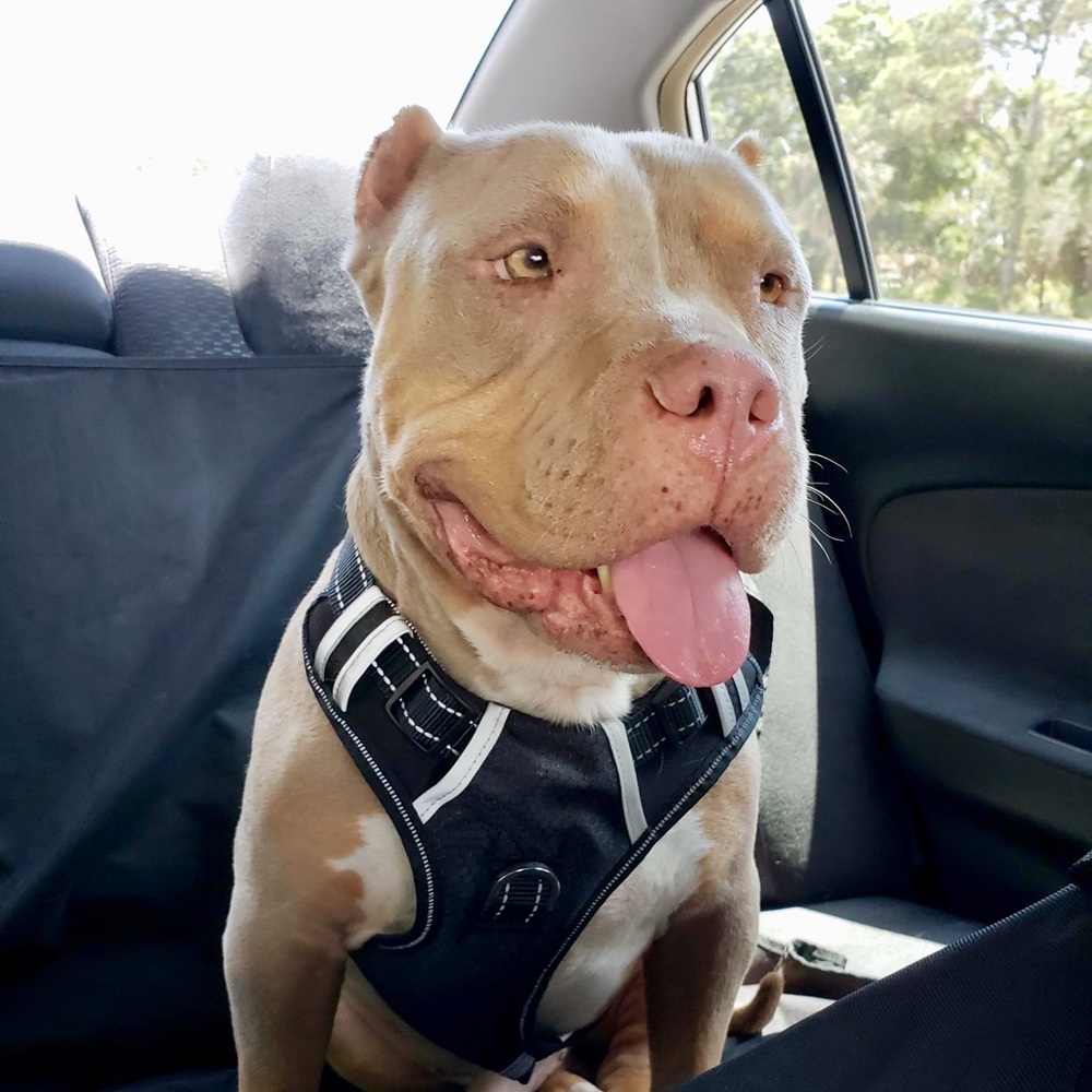 Meet your Posher, Erica